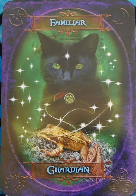 Witches Wisdom Oracle Cards